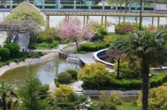 武汉市卫生学校