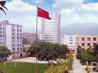 爱丽斯外语学校